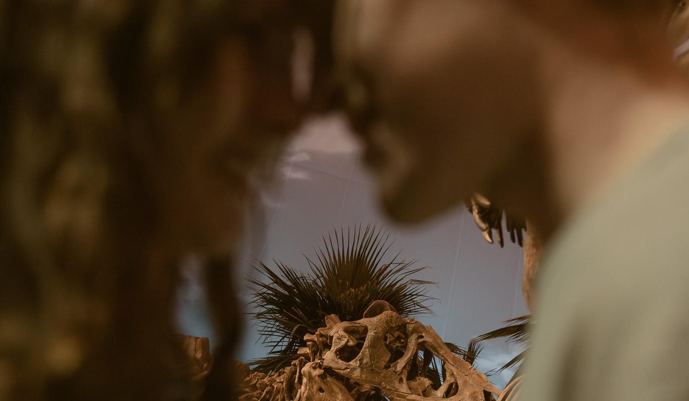 Hero Slideshow Image 4