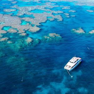 Snorkel Tour of The Great Barrier Reef