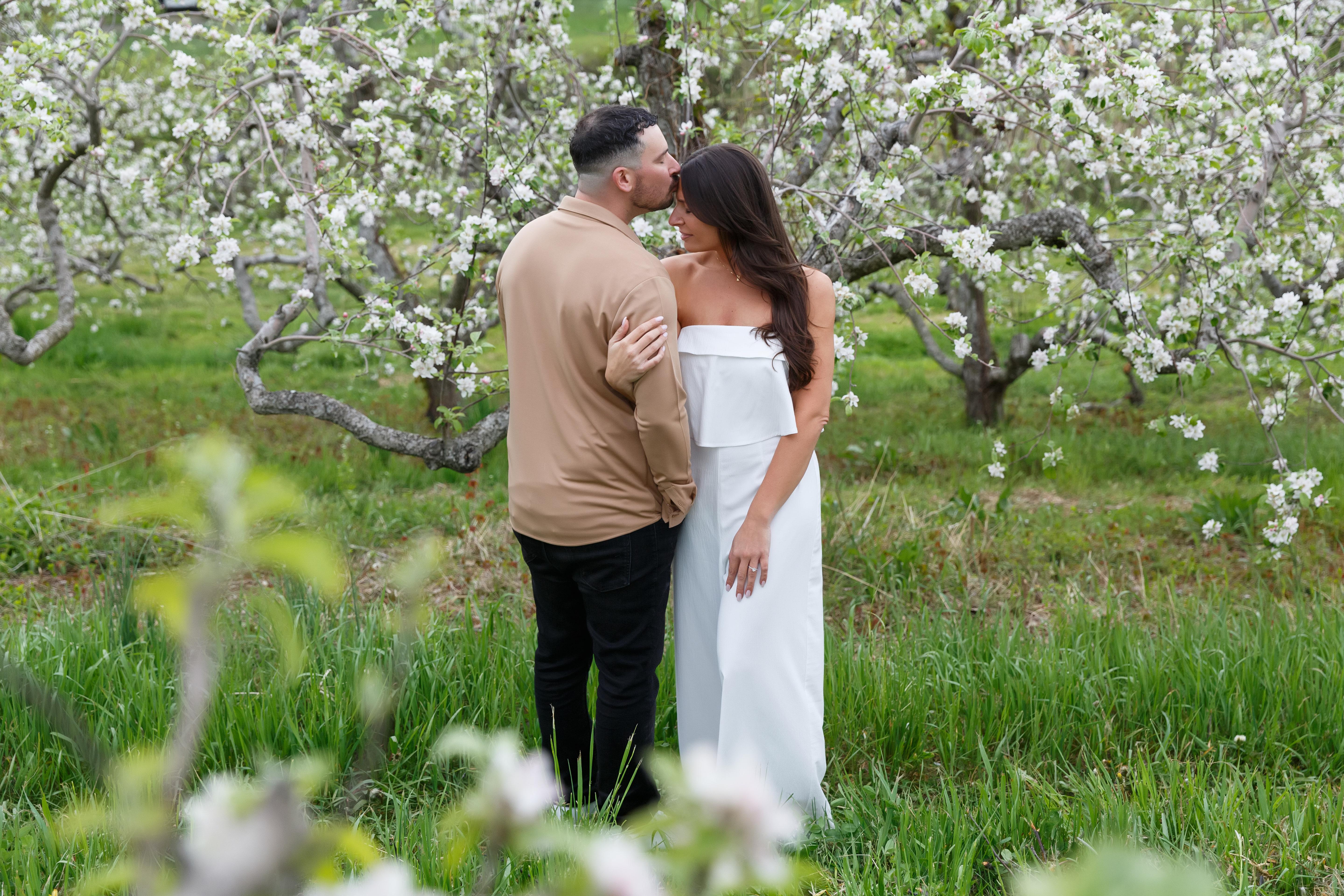 The Wedding Website of amanda darling and william hindinger