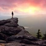 Grandfather Mountain Nature Park and Swinging Bridge