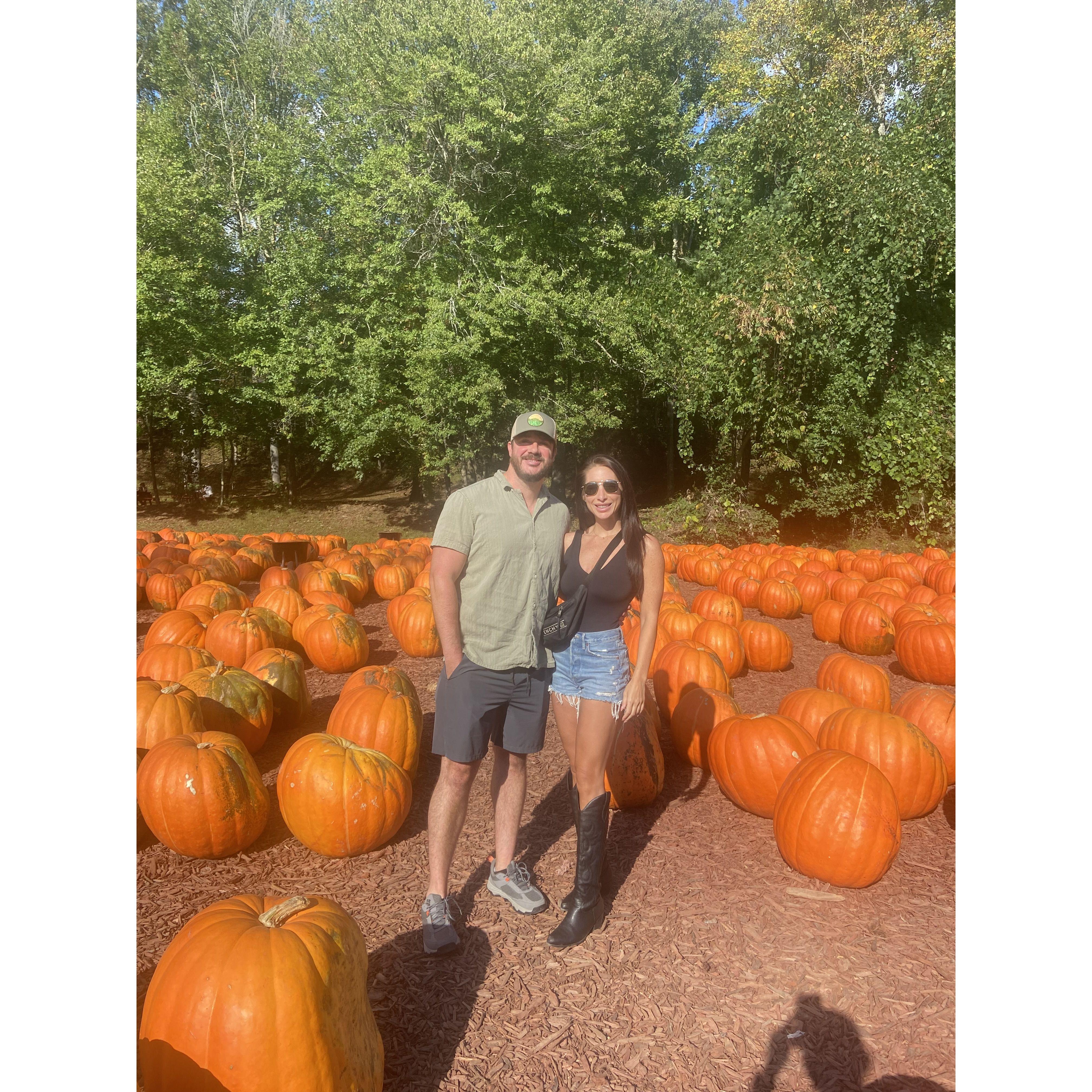 Burts Pumpkin Farm
