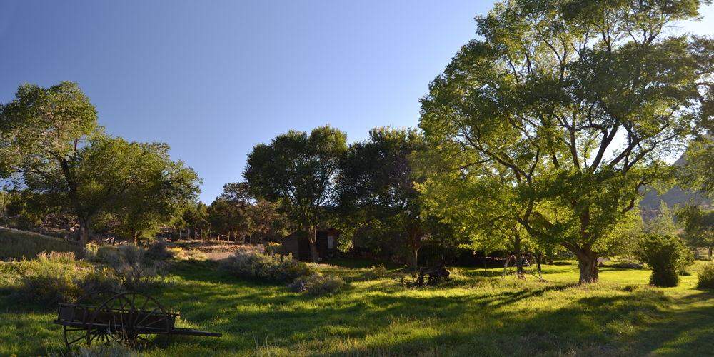 The Wedding Website of Sophie Linett and Dylan Barnes