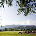 King Family Vineyards