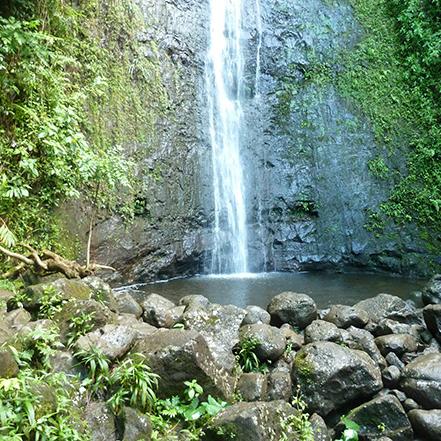 Monoa Falls Sunrise Excursion
