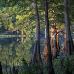 Beavers Bend State Park and Nature Center