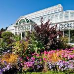 Volunteer Park and Conservatory