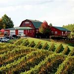 Carter Mountain Orchard