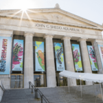 Shedd Aquarium