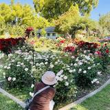 McKinley Park