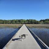 Stono River County Park