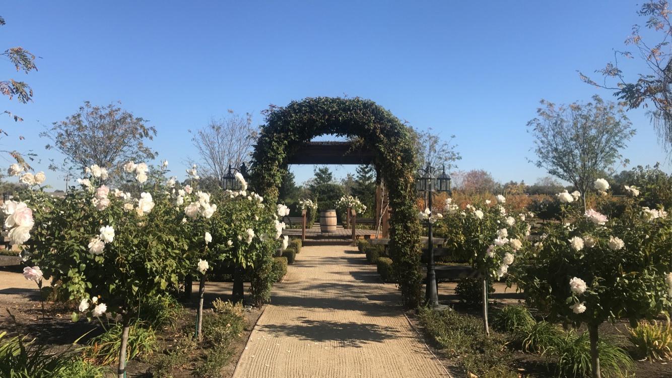 The Wedding Website of Vivian Gaxiola and Andres Guillen