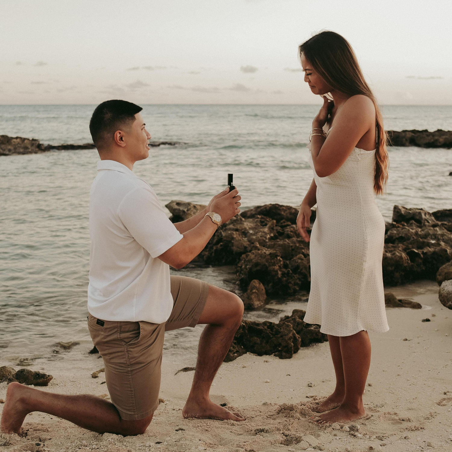 The proposal, November 29, 2020.