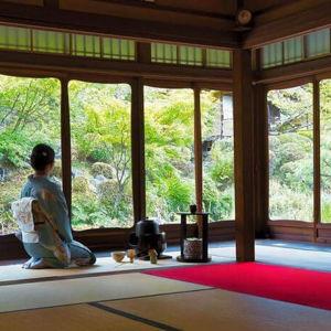 Traditional Tea Ceremony