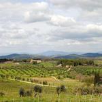 Chianti Region