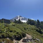 Hiking! Mt Hood Area