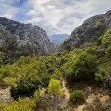 Malibu Creek State Park
