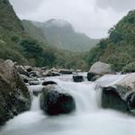 Iao Valley