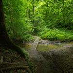 Meeman-Shelby Forest State Park