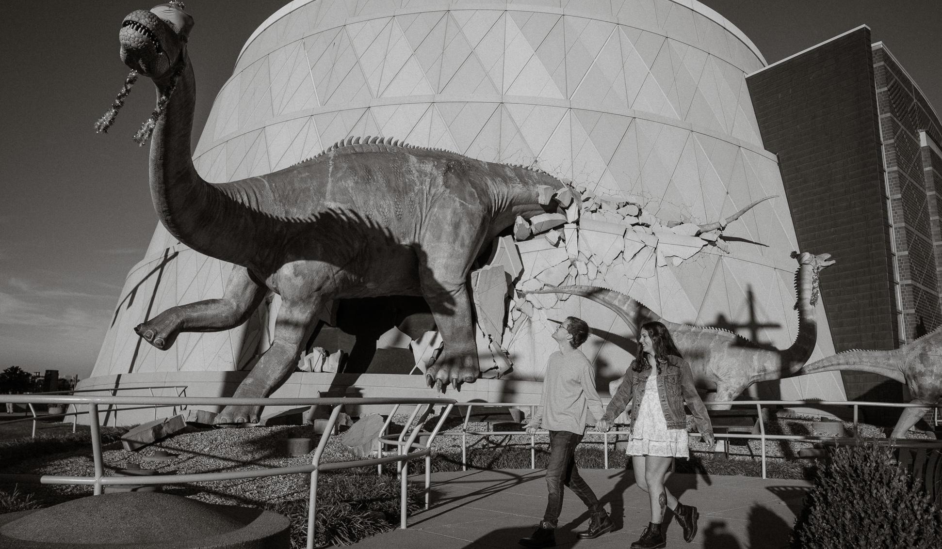 Hero Slideshow Image 5