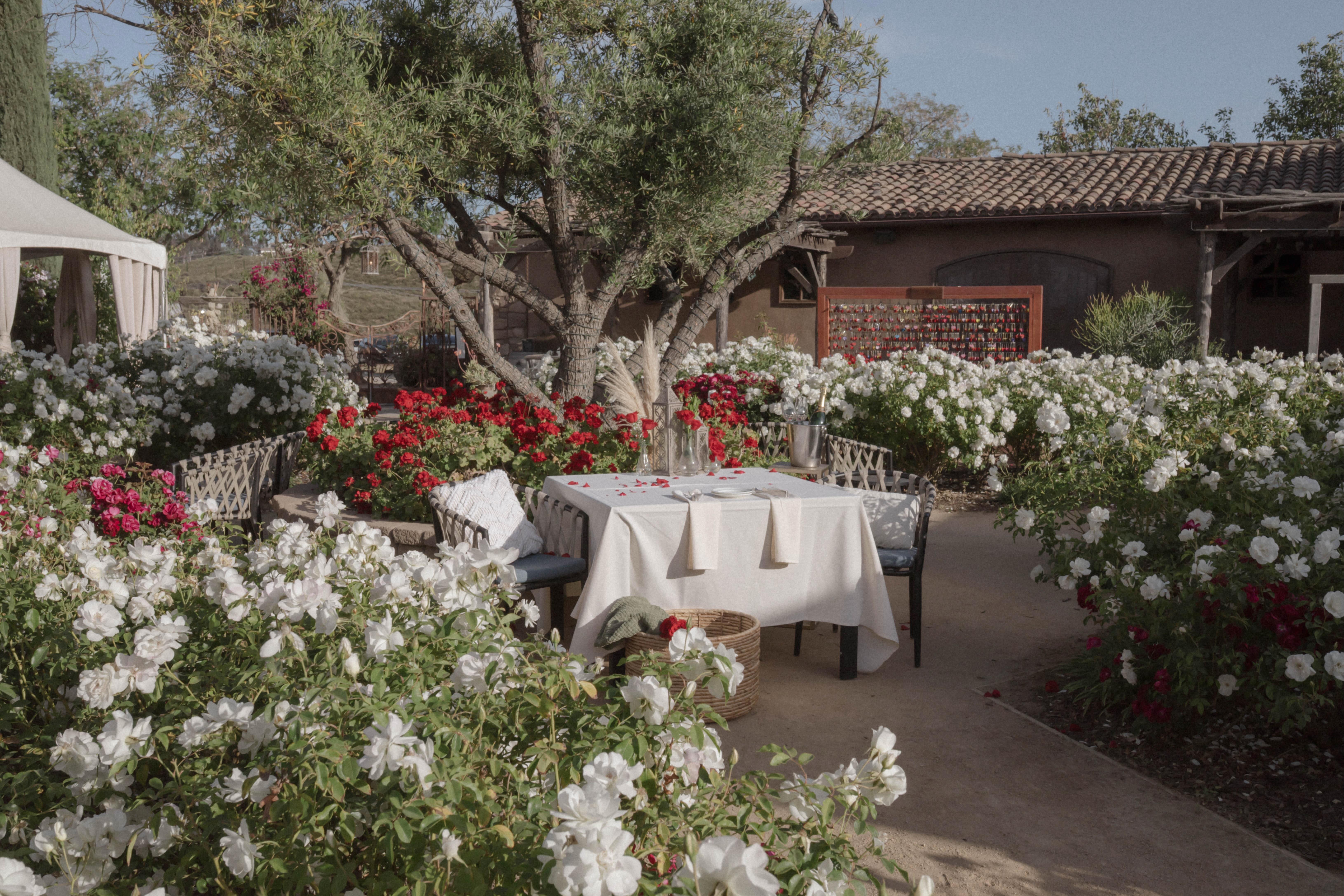 The Wedding Website of Isabel Rubio and Connor Nolan