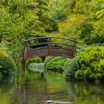 Japanese Garden
