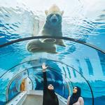 Detroit Zoo