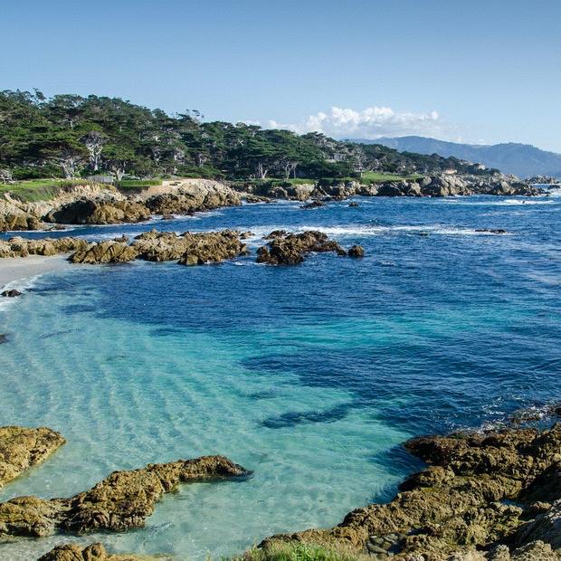 Honeymoon’n Covid Style on the California Coast!