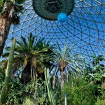 Mitchell Park Domes