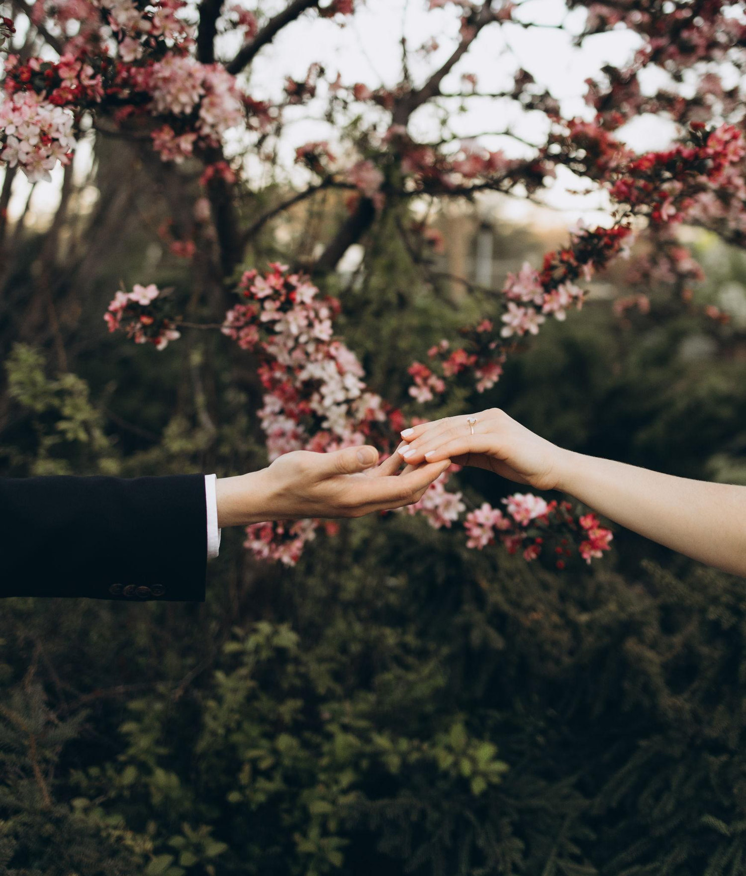 The Wedding Website of Andrey Drozd and Nadiia Minich