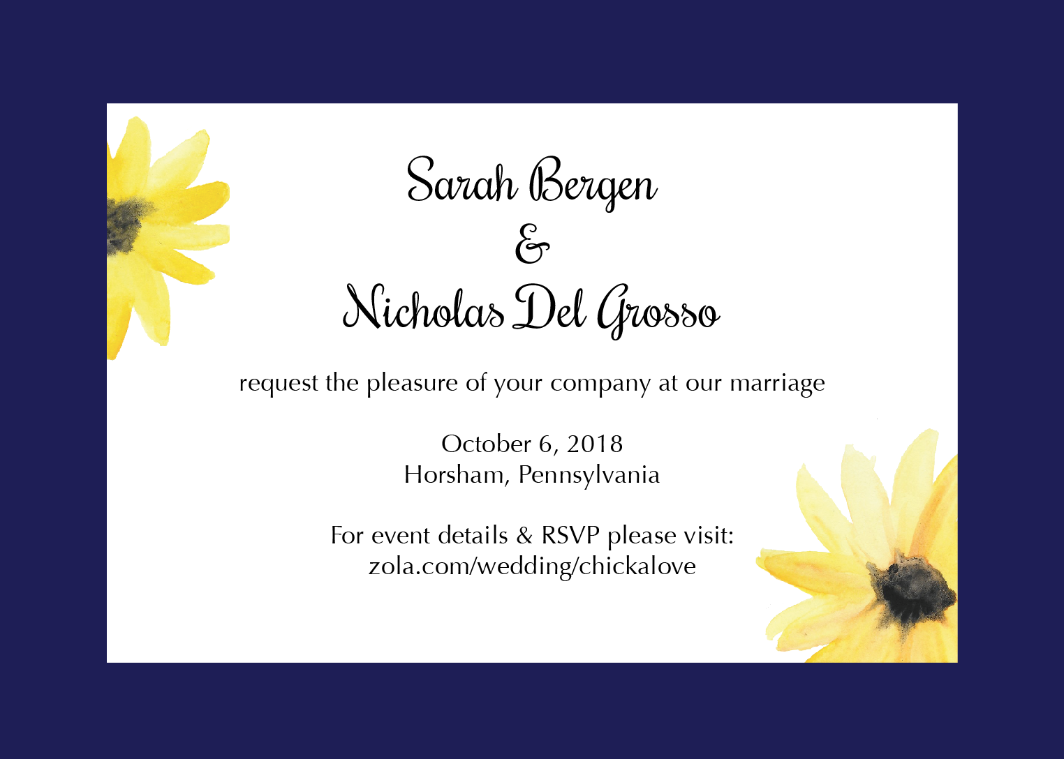 The Wedding Website of Sarah Bergen and Nicholas Del Grosso