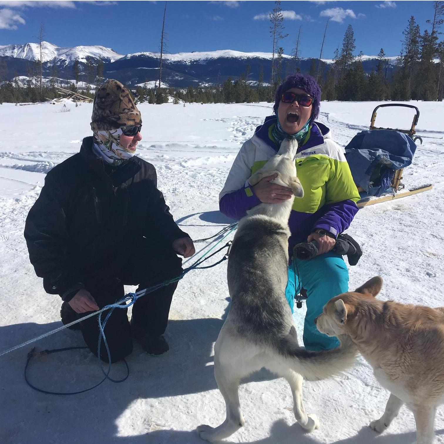 Dogsledding near Fraser, CO - February 2019