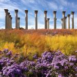United States National Arboretum