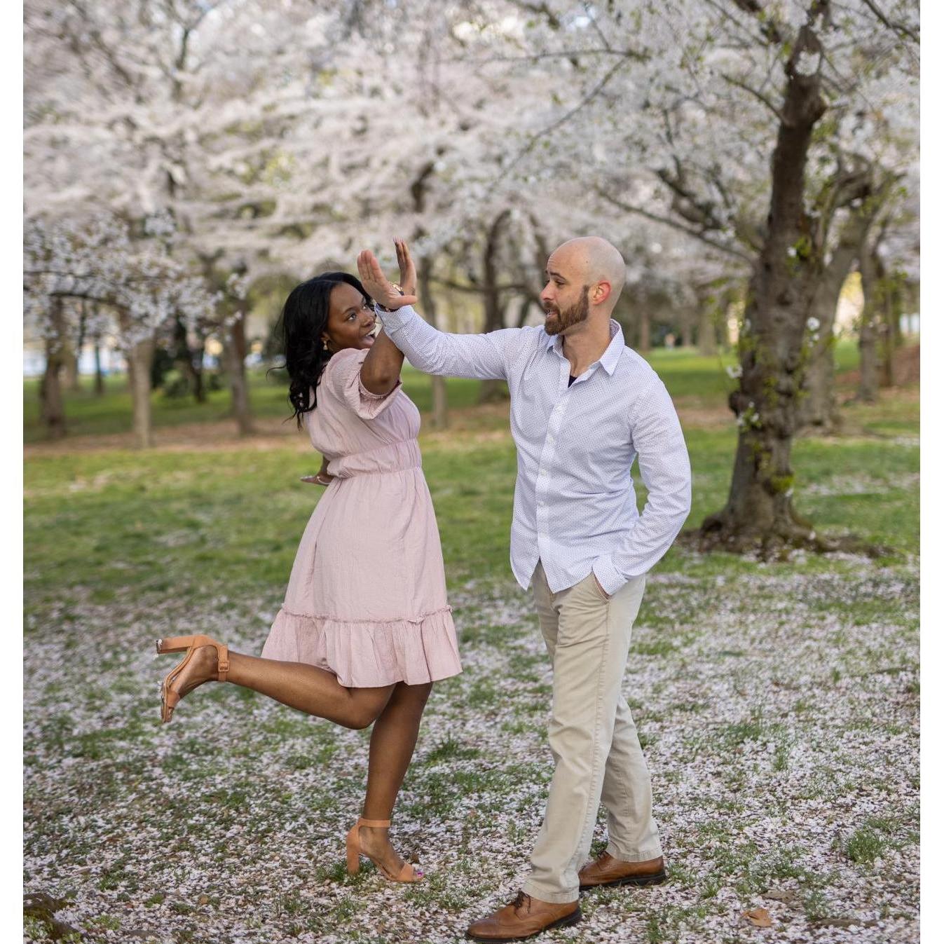 D.C. Cherry Blossom Fun!