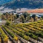 Wineries in Silicon Valley