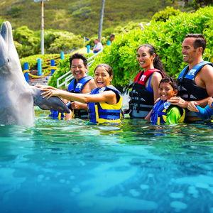 Dolphin Royal Encounter- Montego Bay
