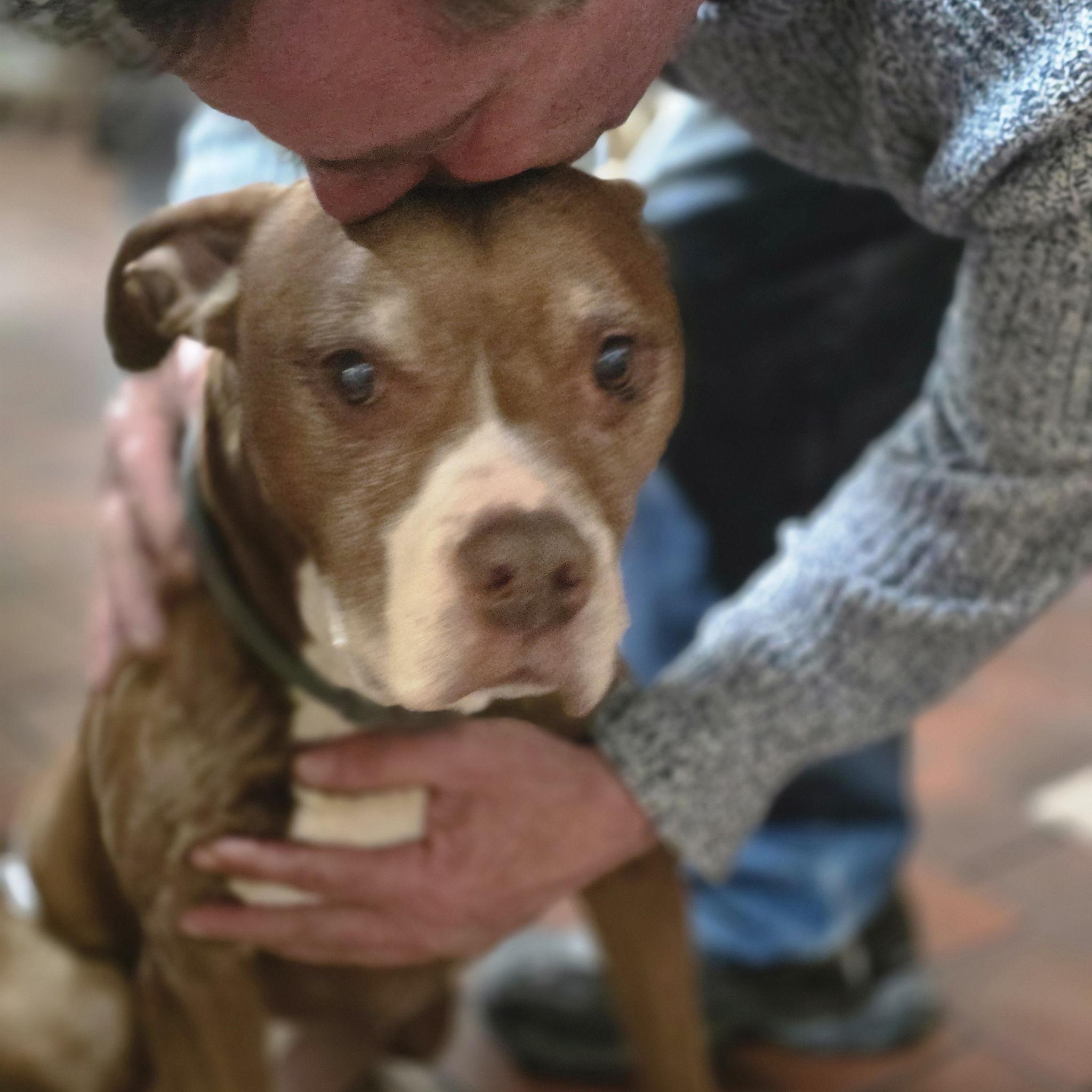 Some more loving with Titan