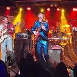 The Bluebird
