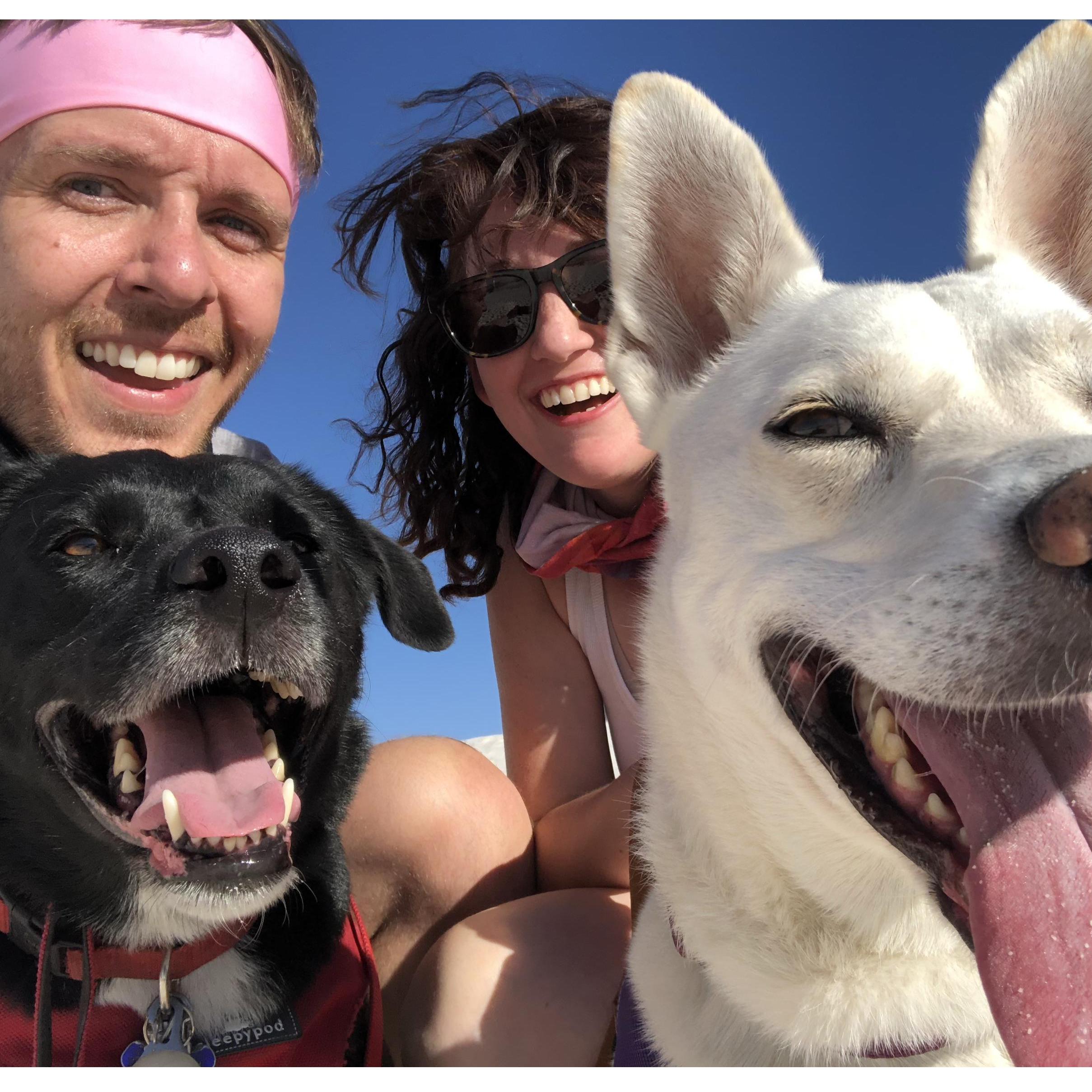 Part of our #12daysinaPrius adventure took us to White Sands, NM. The puppies LOVED it.