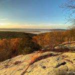 Jenny Jump State Forest