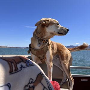 Haley's Boat Fund