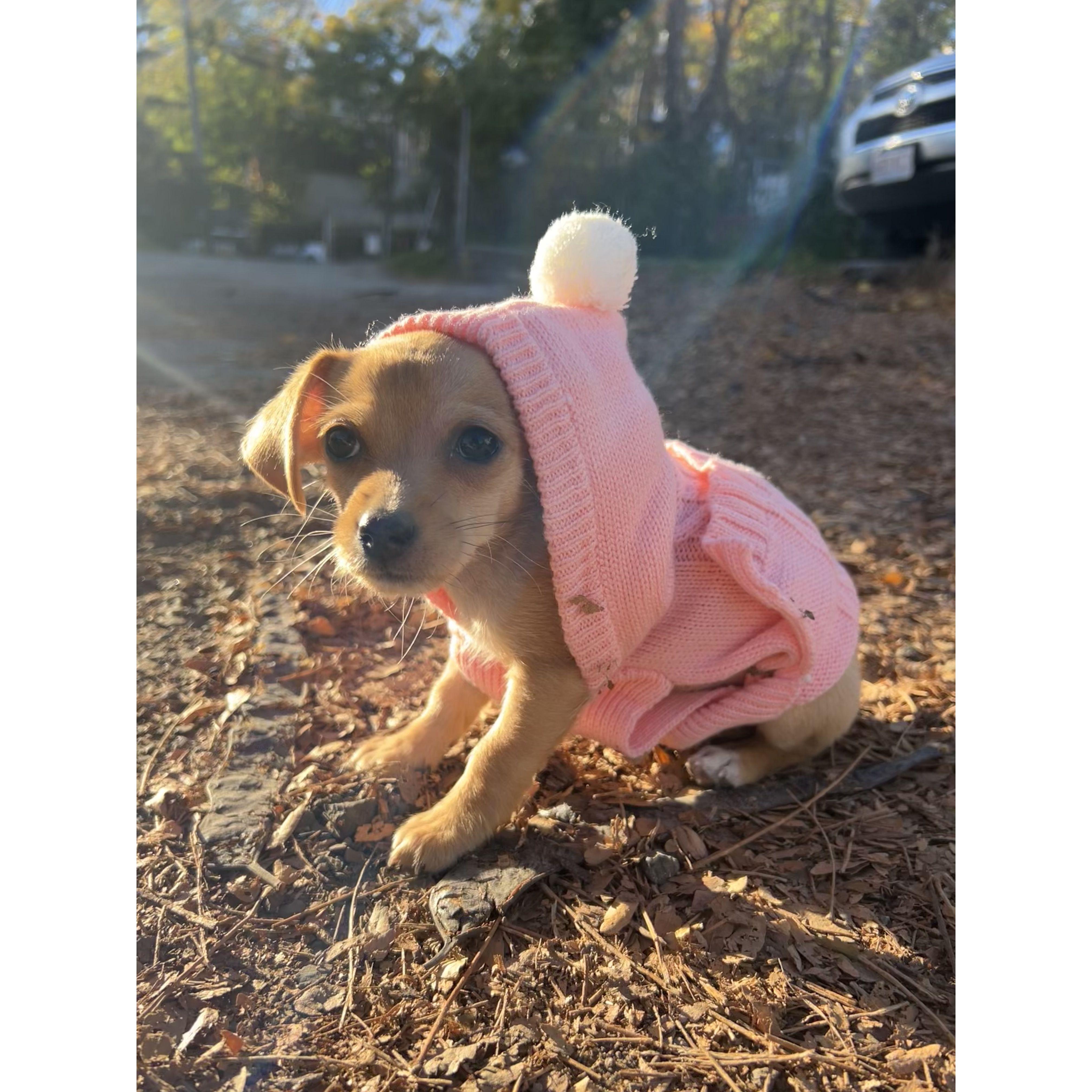 Our first baby