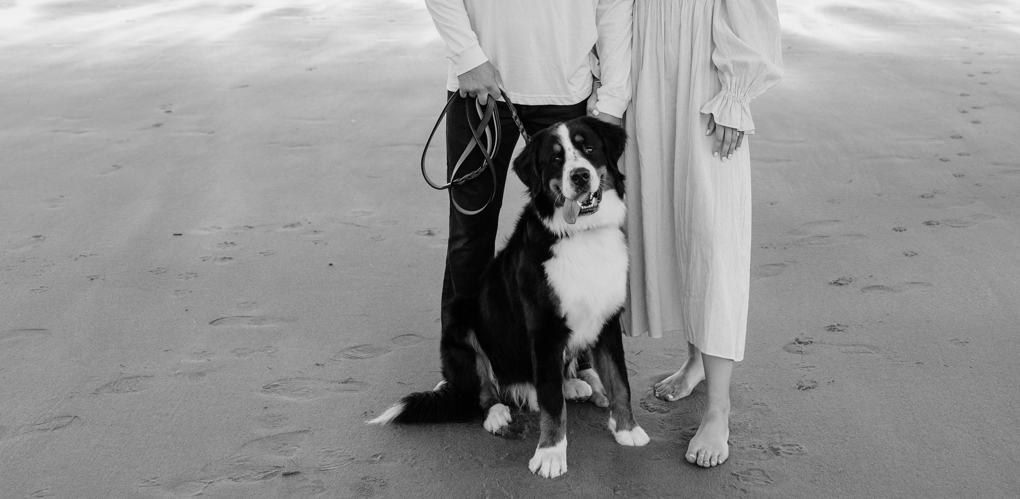The Wedding Website of Caitlin Lyons and Ryan Daigle
