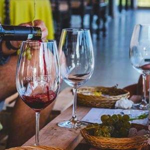 Wine Pairing Dinner