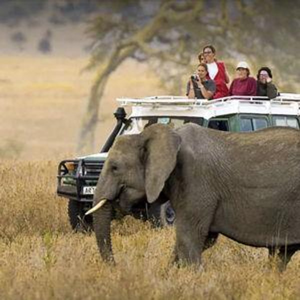 Ngorongoro Crater Game Drive