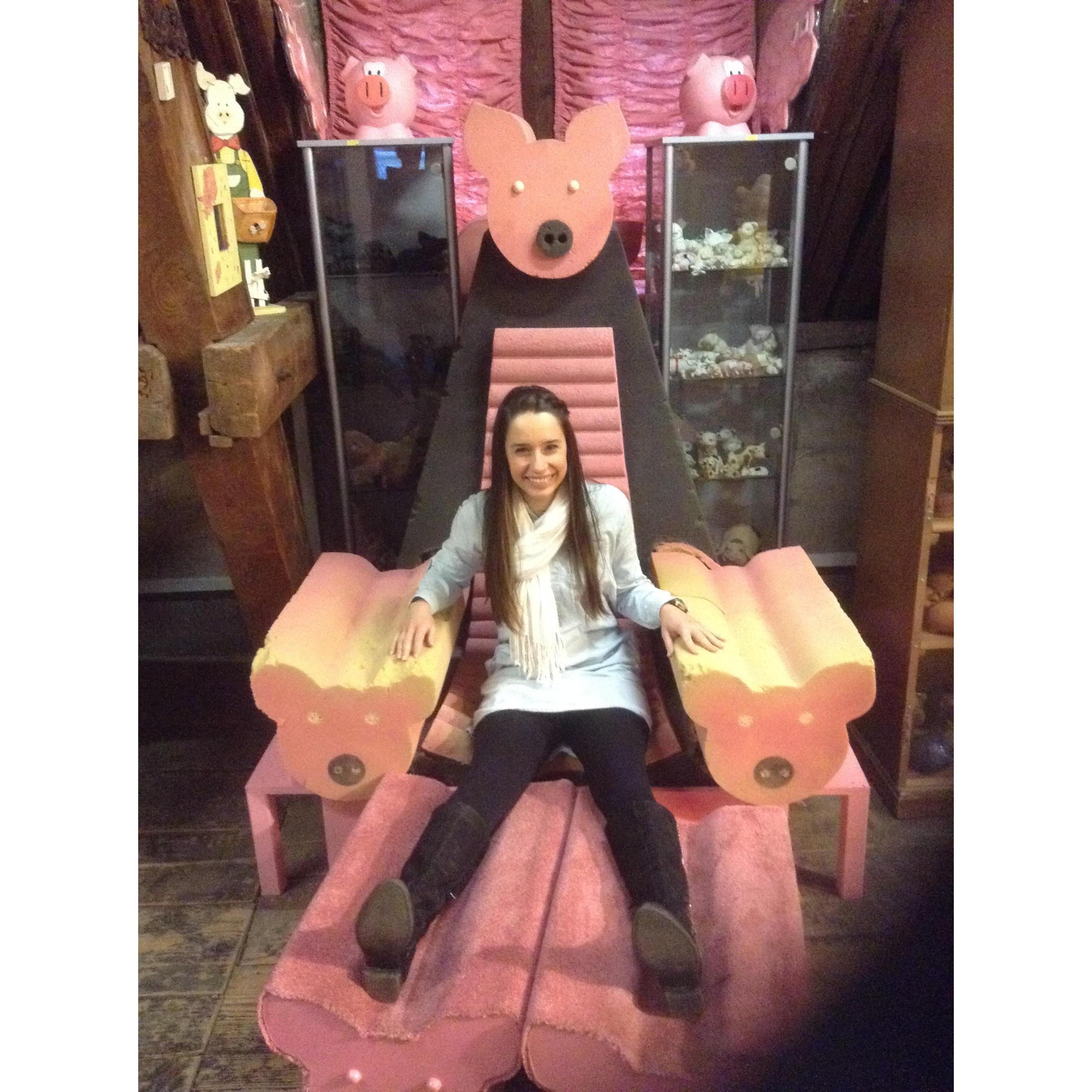 Schweine Museum