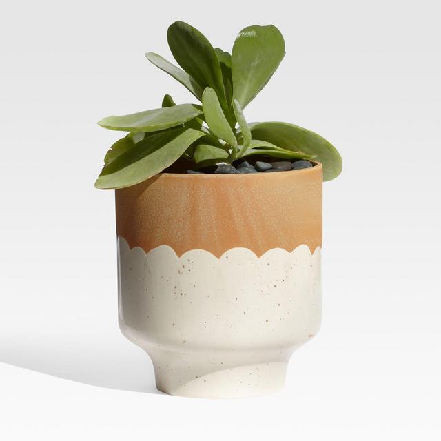 Simani Footed Two-Toned Planter