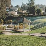 Alveare Winery