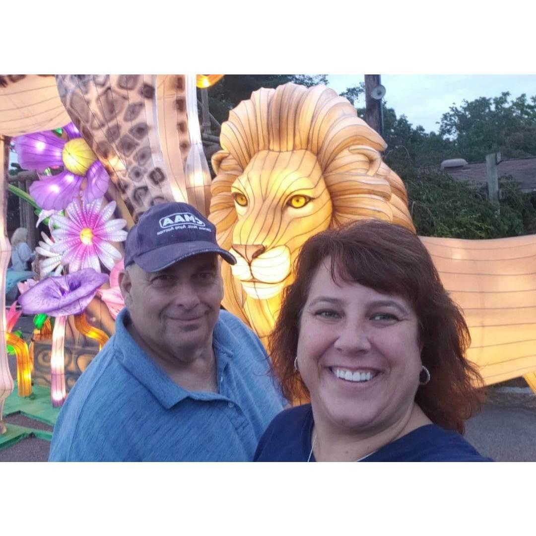 Bucket Adventure - Chinese Lanters, Southwick Zoo