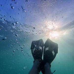 Snorkeling For Two