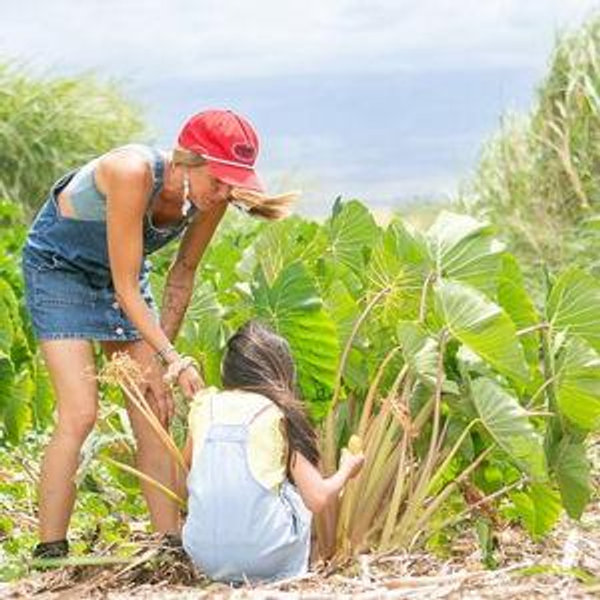 Local Agriculture Farm Tour